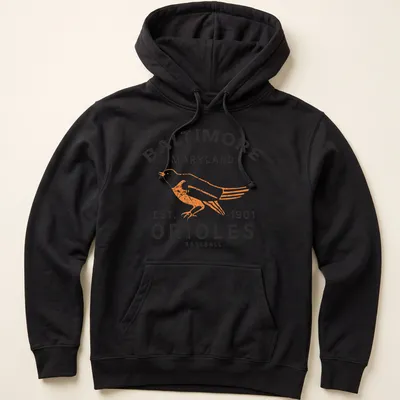 Retro distressed t-shirt featuring Baltimore Orioles baseball text and bird design — printed on a unisex hoodie
