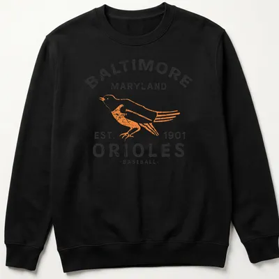 Retro distressed t-shirt featuring Baltimore Orioles baseball text and bird design — printed on a unisex sweatshirt