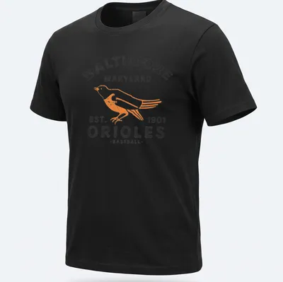 Retro distressed t-shirt featuring Baltimore Orioles baseball text and bird design — printed on a unisex t-shirt