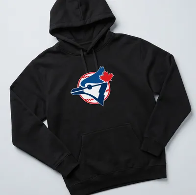 Bold graphic t-shirt featuring a blue jay bird with baseball elements — printed on a unisex hoodie