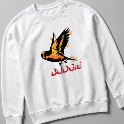 Vintage styled BUDGIE t-shirt featuring a bird surrounded by flames in orange and yellow — printed on a unisex sweatshirt