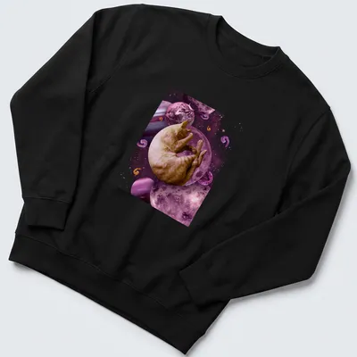 Illustration of a sleeping cat in space with cosmic elements in pink and purple. — printed on a unisex sweatshirt