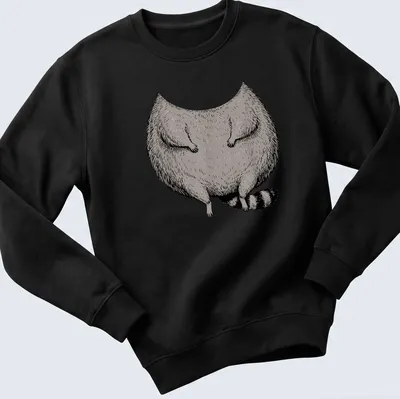 Cartoon illustration of a fat raccoon in a costume in gray, black, and white — printed on a unisex sweatshirt