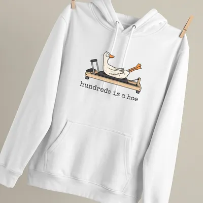 Cartoon goose doing Pilates with humorous text above in white and orange — printed on a unisex hoodie