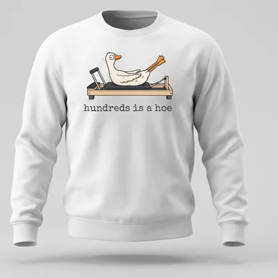 Cartoon goose doing Pilates with humorous text above in white and orange — printed on a unisex sweatshirt