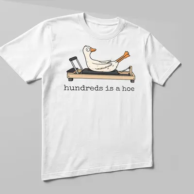 Cartoon goose doing Pilates with humorous text above in white and orange — printed on a unisex t-shirt (angled view)