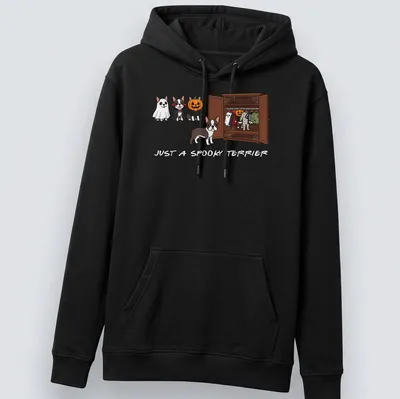 Kawaii cartoon Boston Terrier in Halloween-themed attire with spooky text — printed on a unisex hoodie