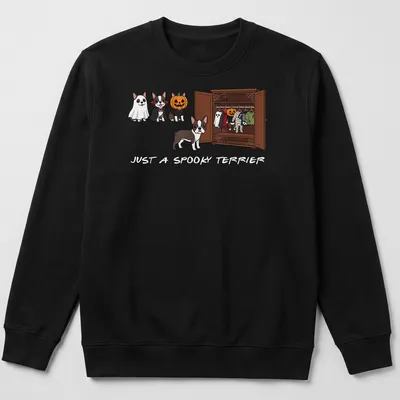 Kawaii cartoon Boston Terrier in Halloween-themed attire with spooky text — printed on a unisex sweatshirt