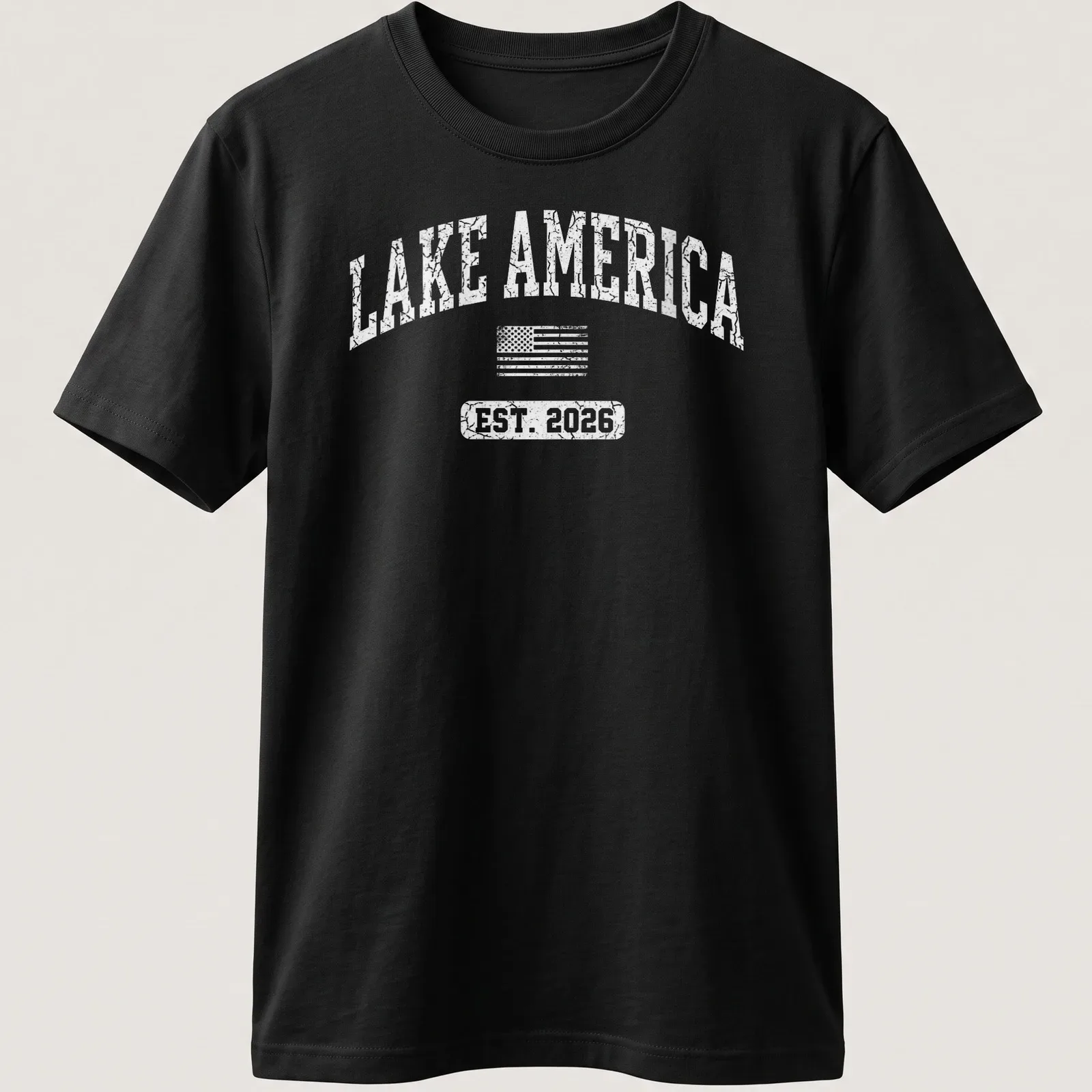 Vintage distressed Lake America shirt with American flag design and established date — printed on a unisex t-shirt