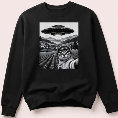 Retro print of a cat taking a selfie with the phrase UFO Cat Selfie — printed on a unisex sweatshirt